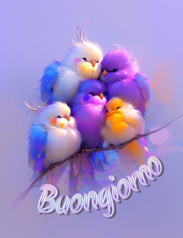 100 immagini buongiorno gratis per whatsapp lunedi