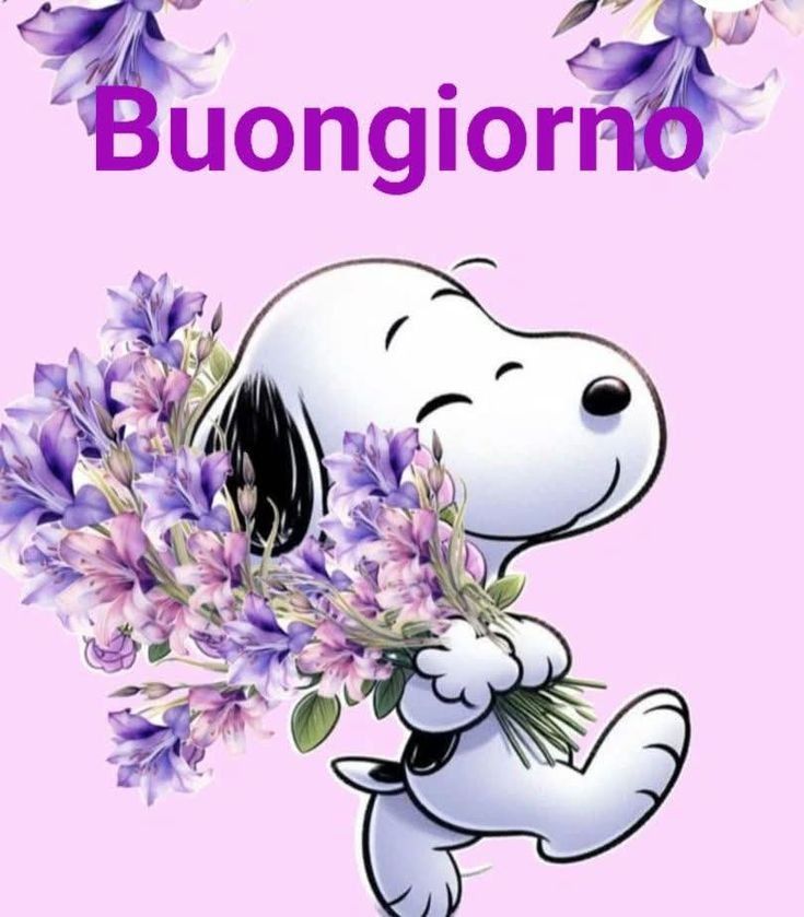 buon giorno stupende nuovissimo buongiorno immagini recenti