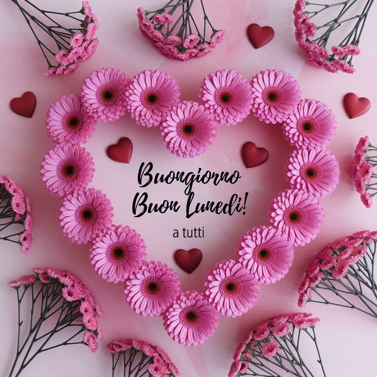 buongiorno amica mia immagini nuove
