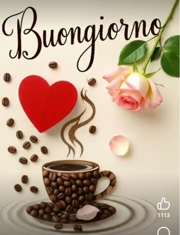 buongiorno con i fiori immagini nuove gratis per whatsapp