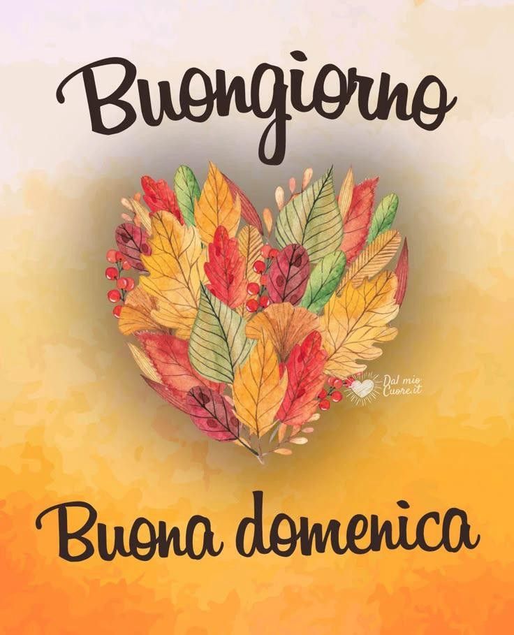 buongiorno divertenti 100 immagini buongiorno gratis per whatsapp