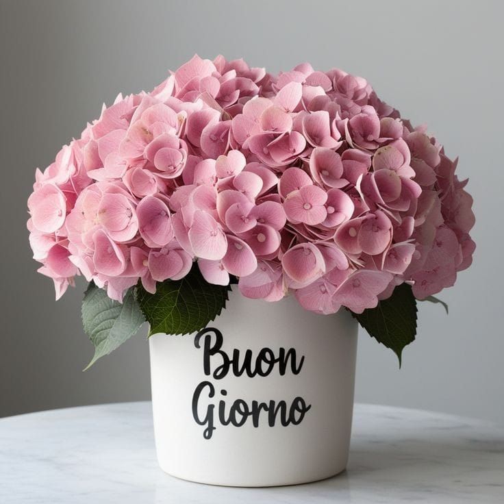 buongiorno immagini lunedi inizio settimana