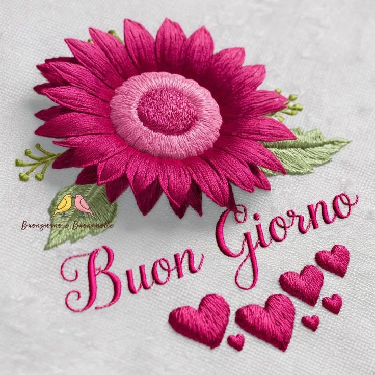buongiorno nuovissimo