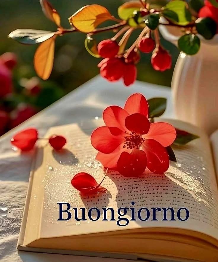 buongiorno originale