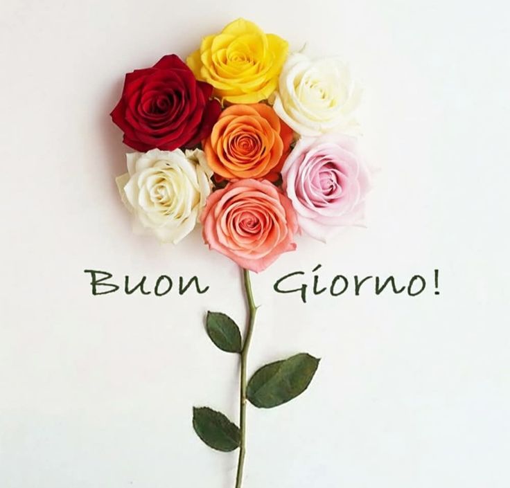 elisa immagini buongiorno