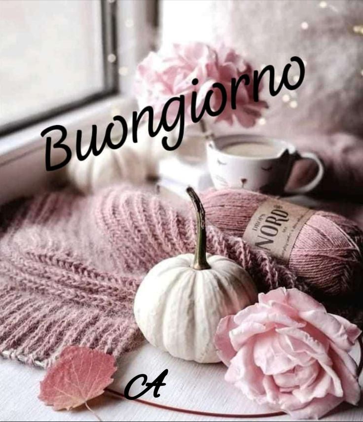 immagini buonanotte buongiorno immagini inedite da scaricare gratis per whatsapp