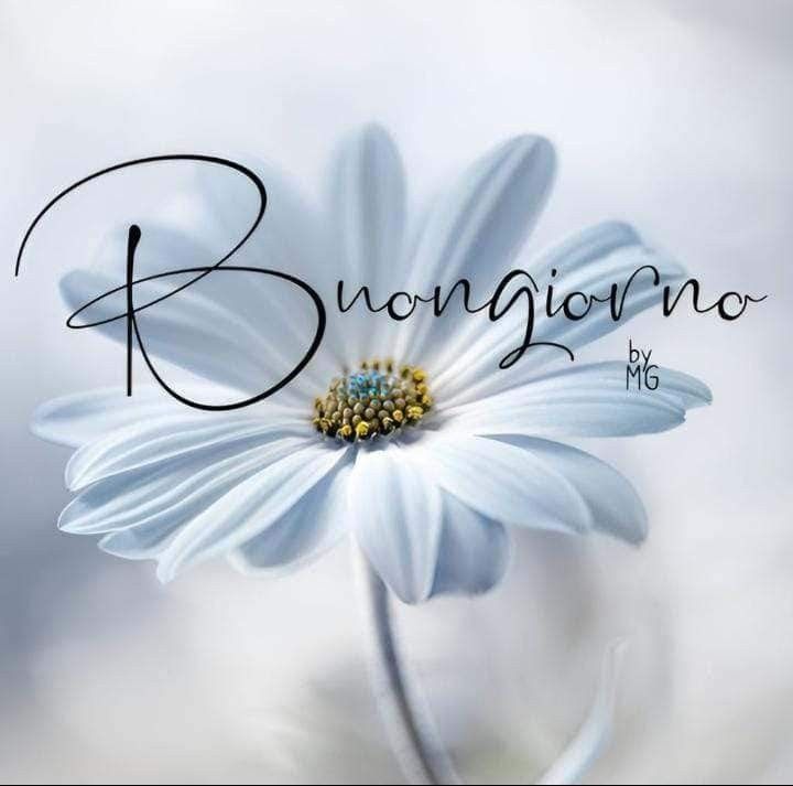 immagini buongiorno nuovissimi