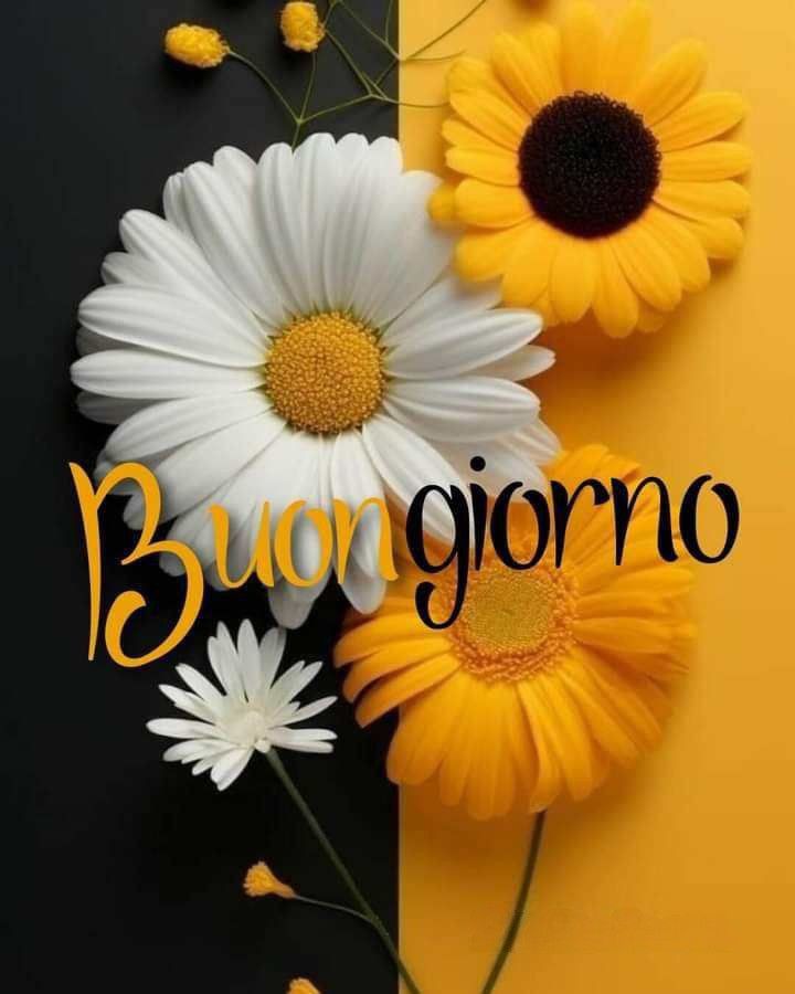 immagini inedite whatsapp buongiorno nuovissimi