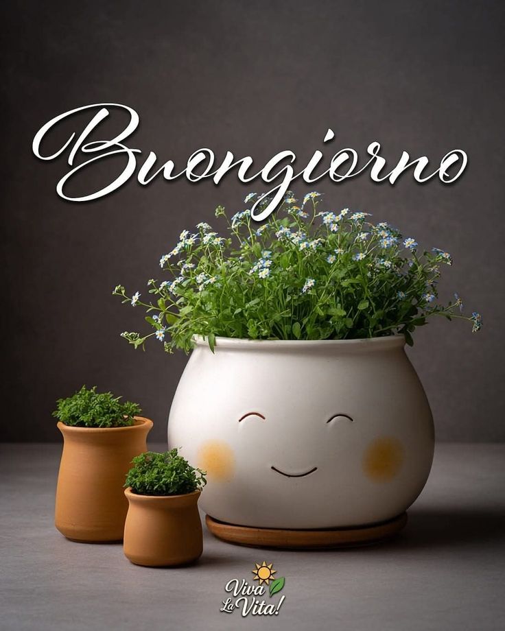 martedi buongiorno immagini