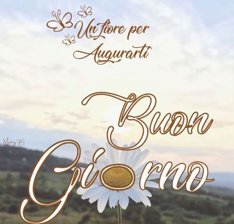 quotes buongiorno