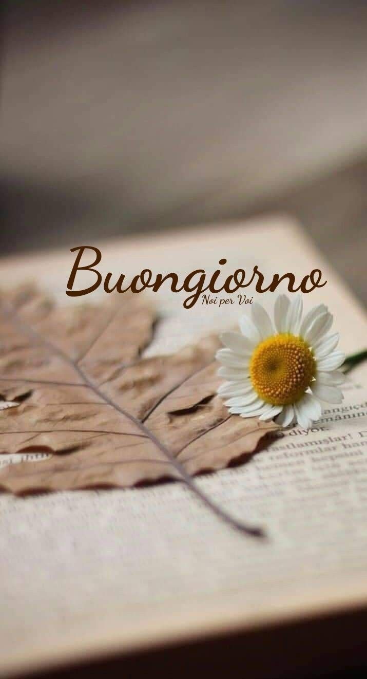 whatsapp gratis stupende nuovissimo buongiorno immagini recenti